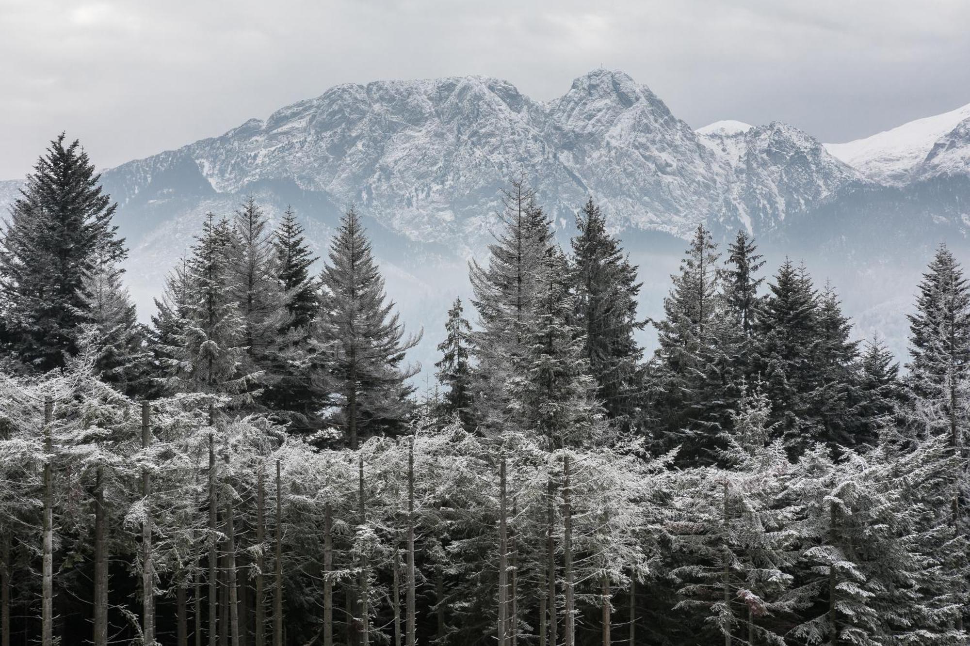Rent Like Home - Hidden Hill Szymaszkowa 12 Zakopane Habitación foto